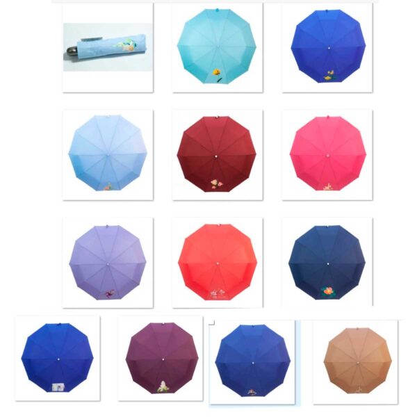 Женские зонты полный автомат