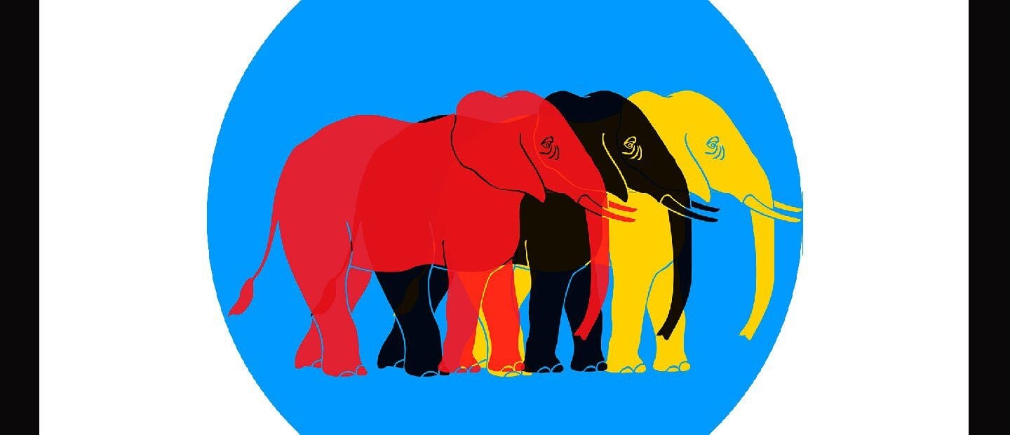 Зонты оптом